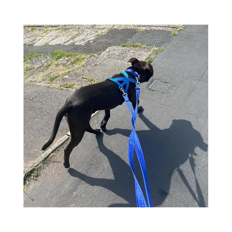 11ft Dog Training Lead Police Style Obedience Multi-Functional Dog Lead