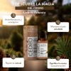 Aceite Esencial De Cedro Puro 15ml Para Difusor Y Aroma