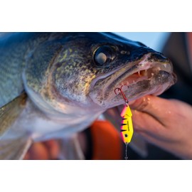 Northland Tackle BRCS3-12 Buck-Shot Coffin Spoon 1/8 OZ Gold Shiner