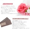 Natural Diamond Powder with puriza-budohurawa-・purinsesu Shoe