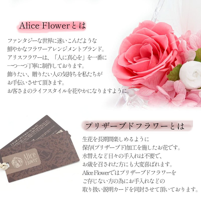 Natural Diamond Powder with puriza-budohurawa-・purinsesu Shoe