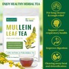 Mullein Leaf Tea, Mullein Leaf Tea Bags for Respiratory, Natural