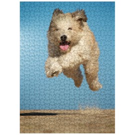 MyPuzzle Still Running - Premium 500 Piece Jigsaw Puzzle - Made in USA
