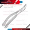 PRECISE CANADA: Dental EXTRACTING Forceps #89 Dental Extraction Instruments