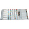Esselte 100161 A4 1-10 Index, Heavy Duty Cardboard with Mylar
