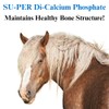 SU-PER Di-Calcium Phosphate Horse Minerals - Calcium & Phosphorus Support