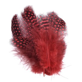 Pack of 10 Quality Dip Dyed Spotty Rooster Feathers – 10 Vivid Colours – 2-5” Long (5-12cm) (Red)