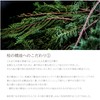 Hand Cream Meet Tree (Cypress) 30ml | Cypress Essential Oil