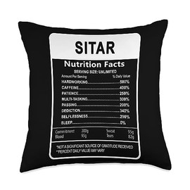 Check out my sitar player Shirts I Destroy Silence Player Vintage Sitar Throw Pillow, 18x18, Multicolor