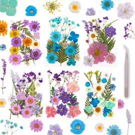Dried Pressed Flowers for Resin Mold Dry Flower Real Leaves Bulk with Tweezers Natural Herbs Kit for Scrapbooking DIY Art Crafts Candle Jewelry Making Nails Floral Decoration