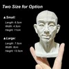 Generic Head Model for Artists, 2in1 Original & Planar Face,
