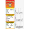 Really Good Stuff Spanish Traffic Light Transition Words and Phrases