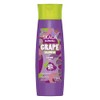 SKALA Shampoo Uva Antioxidante Brillo y Protección Capilar 325 ml