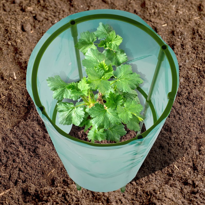 COZYDIG 2Pcs Garden Plant Protectors,22.44 ''H × 9.45" w Reusable