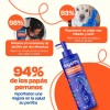 Dogelthy Pack De 3 Aceites De Salmón Para Perro Omega3