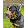STRONG Wire Metal muzzle Basket Dog Muzzle Rottweiler,Mastiff Golden Retriever