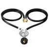 GasSaf 4 Feet Y Splitter Propane Regulator with Hose, 2