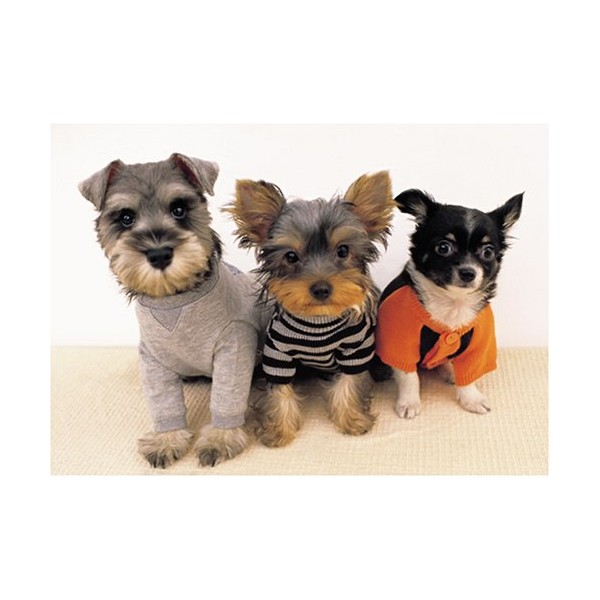 108 Piece Jigsaw Puzzle Dog Kids 7.2 x 10.0 inches
