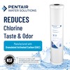 Pentair Pentek RFC-20 Carbon Water Filter, 20-Inch, Whole House Radial
