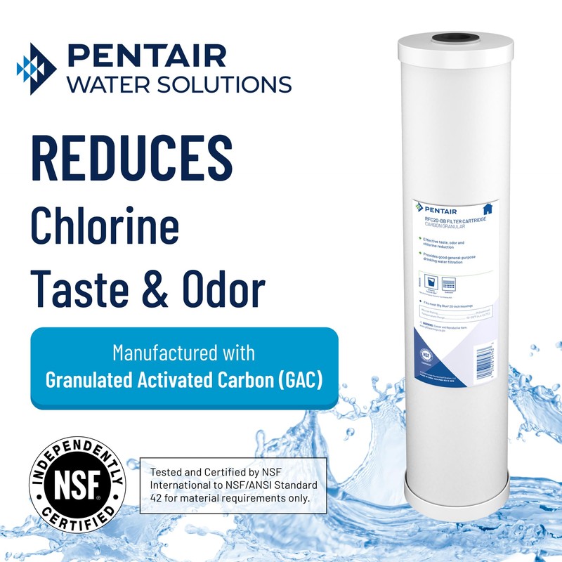 Pentair Pentek RFC-20 Carbon Water Filter, 20-Inch, Whole House Radial