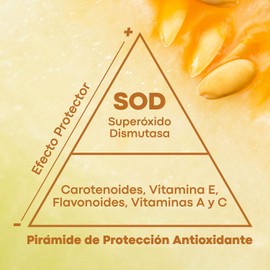 Sodimel Sérum Facial Antioxidante 30 g