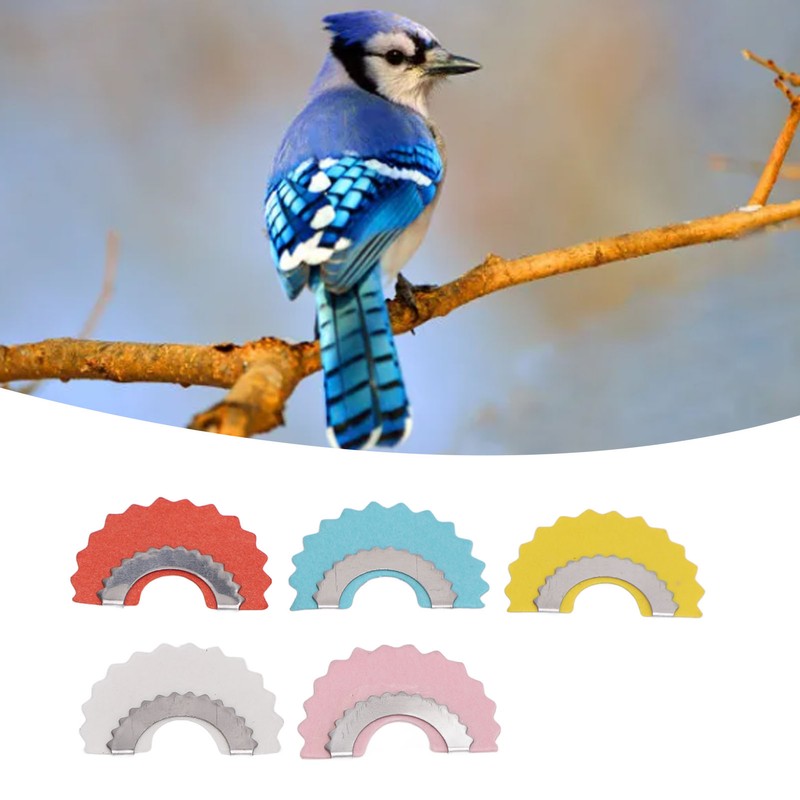Bird Whistle 5 Colors Bird Caller Tongue Whistle Funny Tweeting