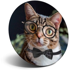 Destination Vinyl ltd Magnet for Refrigerator, Fridge - Geek Cat with Eye Glasses Bowtie for Office, Cabinet and Whiteboard, Magnetic Stickers, 16718