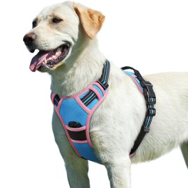 Eagloo Dog Harness for Large Dogs, No Pull Service Vest with Reflective Strips and Control Handle, Adjustable and Comfortable for Easy Walking, No Choke Harness with 2 Metal Rings, Pink & Blue, L