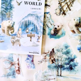 Scrapbooking Accessories Stickers, Bullet Journal Sticker, PET Scrapbook Sticker Set