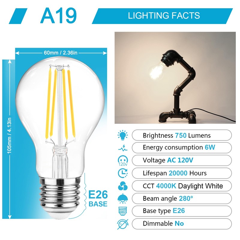 Ascher 60 Watt Equivalent, E26 LED Filament Light Bulbs, Daylight