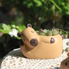 SPEALLOY Capybara Resin Succulent Planter Set of 2 - Mini