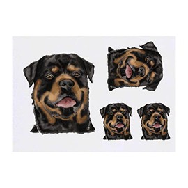 4 x 'Rottweiler' Temporary Tattoos - Water Resistant, Skin-Safe, Non-Toxic Transfers, Mixed Sizes (TO00049319)