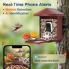 PeckCam® Bird Feeder with Camera, 2K Ultra HD Live Stream
