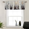 HDESDIS 1 Panel White Birch Tree Valances for Windows, Forest