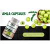 WAY 4 ORGANIC W4O Amla Fruit Extract Capsules - 180