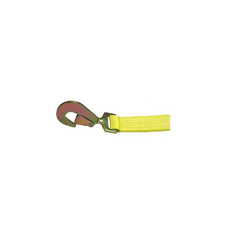 Lift-All Logistic Ratchet Strap, 12ft x 2In, 1000lb