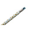 12 Mechanical Pencils, Retractable Pencils, Cute, Non-Sharpening, Erasable Brushstrokes, Permanent,