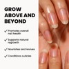 LONDONTOWN kur Restorative Nail Cream, 1 Fl Oz (Pack of