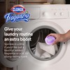Clorox Fraganzia Laundry Scent Booster Crystals in Lavender with Eucalyptus