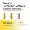 Sacred Summit Berberine Detox Complex 500 mg – with Turmeric