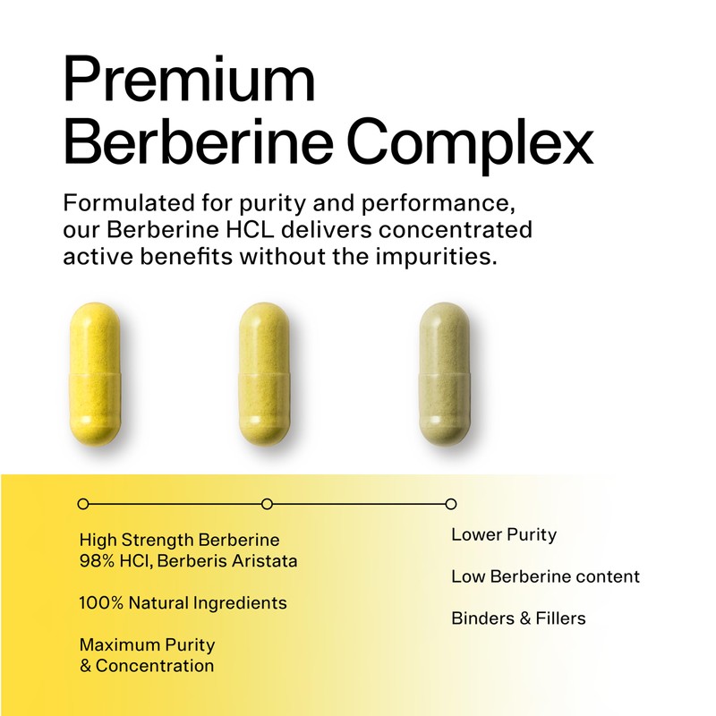Sacred Summit Berberine Detox Complex 500 mg – with Turmeric