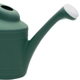 Southern Patio 2 Gallon Watering Can, Fern