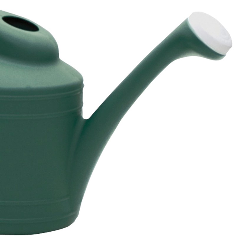 Southern Patio 2 Gallon Watering Can, Fern