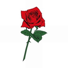 Festival Makeup M107 Rose Single Rear Wheel (X in)