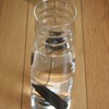 Kishu Binchotan Charcoal Pack of 4 ~ For Water Purification,