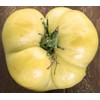 Seeds4planting - Seeds Snow Great White Beefsteak Tomato Giant Heirloom