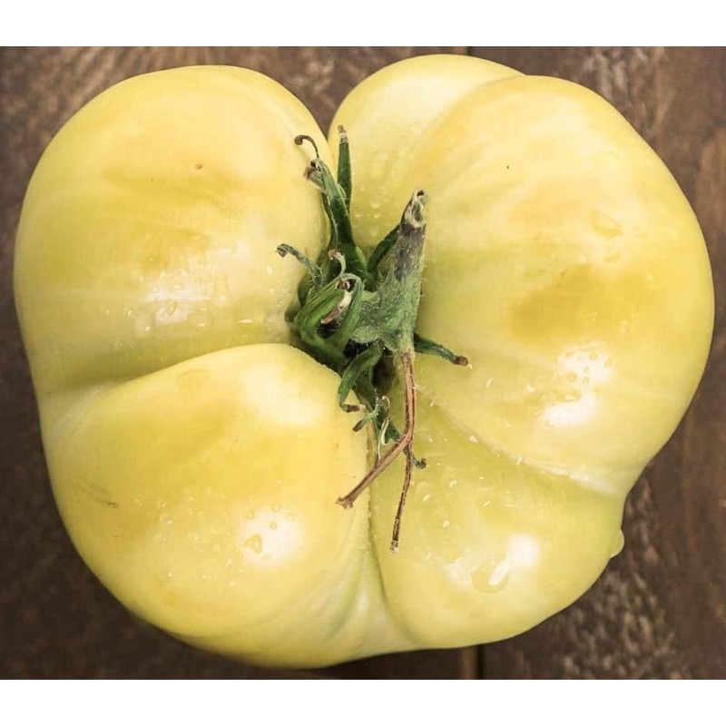 Seeds4planting - Seeds Snow Great White Beefsteak Tomato Giant Heirloom