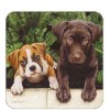 Legacy Cork Back Coaster-Dog Design BOXER & LAB PUPS-Create Your Own Set!