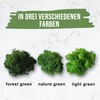 Eurofoto Iceland Moss Set Preserved – Real Natural Moss for