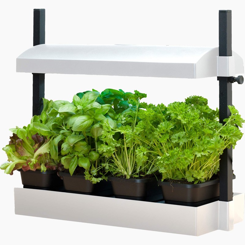 SunBlaster SL1600199 Micro Grow Light Garden, White, Small